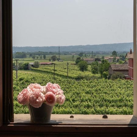 Vila Fiori&Vigne Di Cecilia Marcon Farra di Soligo Exteriér fotografie