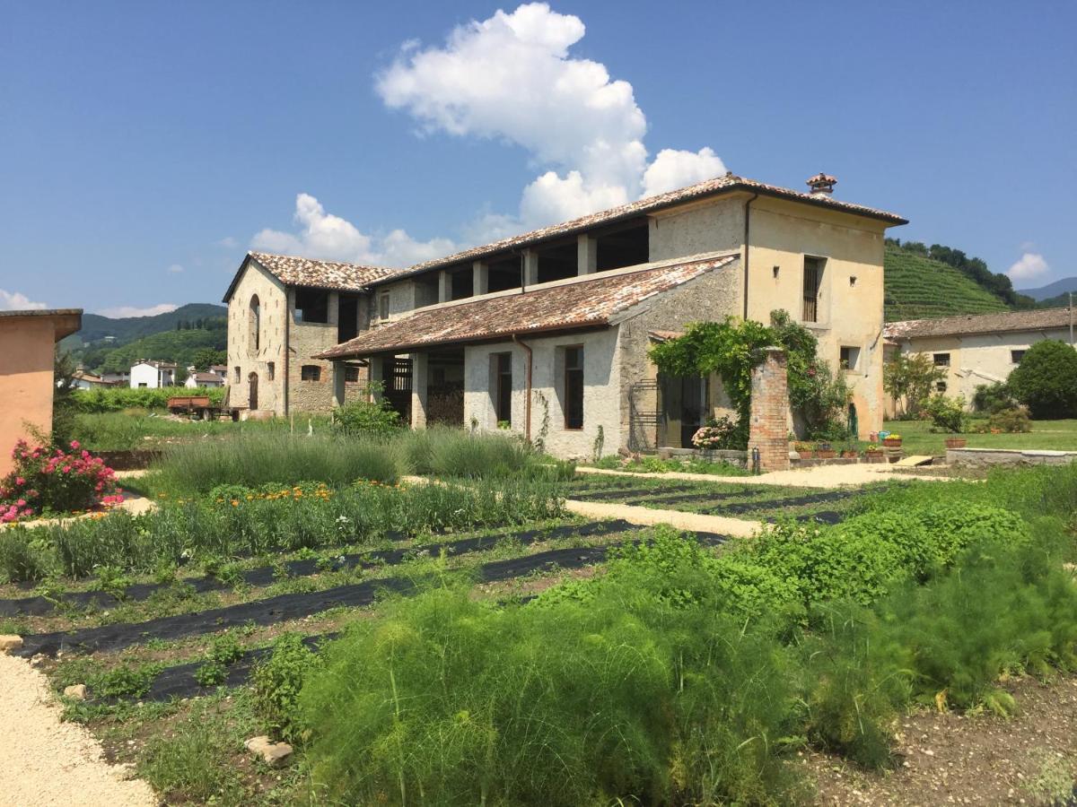 Vila Fiori&Vigne Di Cecilia Marcon Farra di Soligo Exteriér fotografie