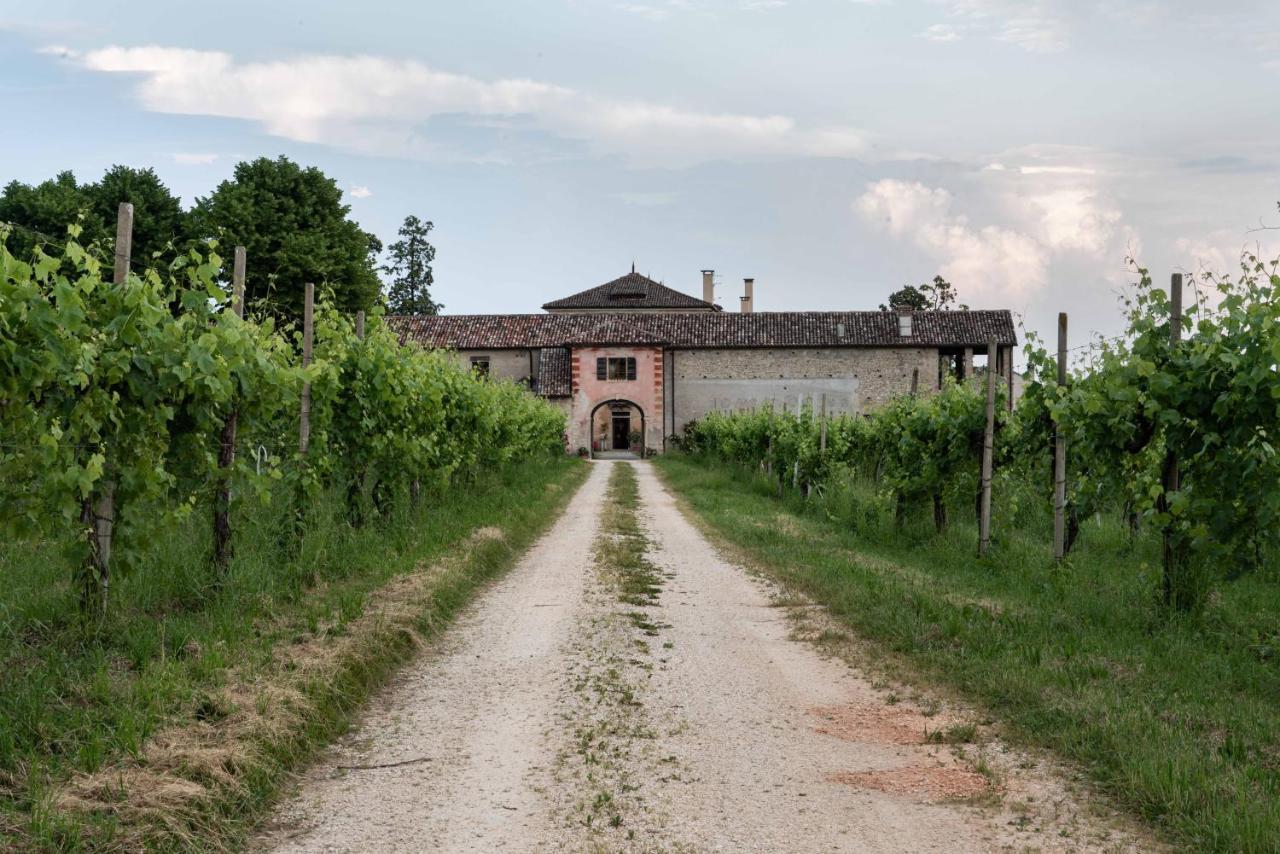 Vila Fiori&Vigne Di Cecilia Marcon Farra di Soligo Exteriér fotografie