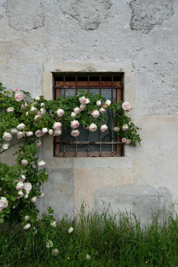 Vila Fiori&Vigne Di Cecilia Marcon Farra di Soligo Exteriér fotografie