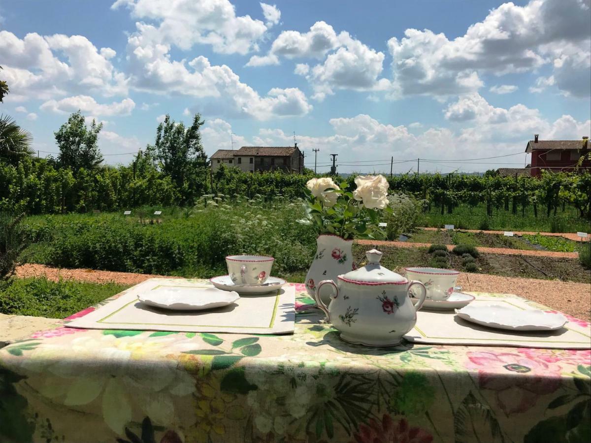 Vila Fiori&Vigne Di Cecilia Marcon Farra di Soligo Exteriér fotografie